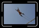 l'essenciel 006 * 3504 x 2336 * (1.67MB)